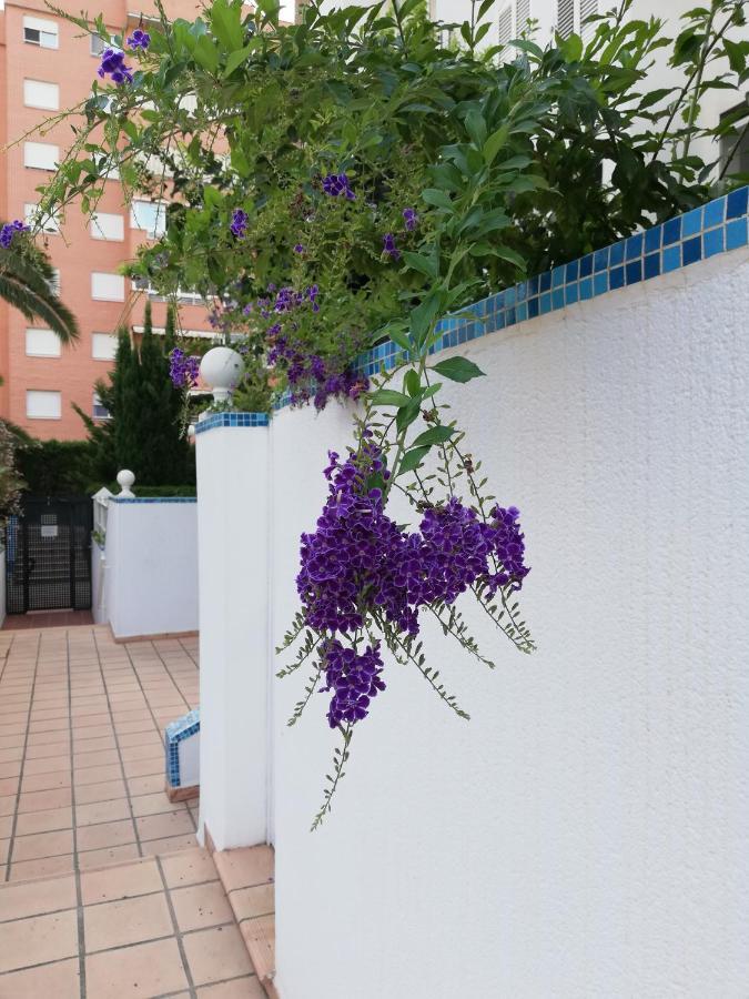 Casablanca Mediterranean Benidorm Extérieur photo